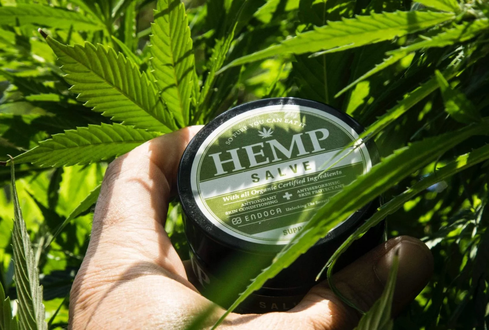 Made by hemp review 2022