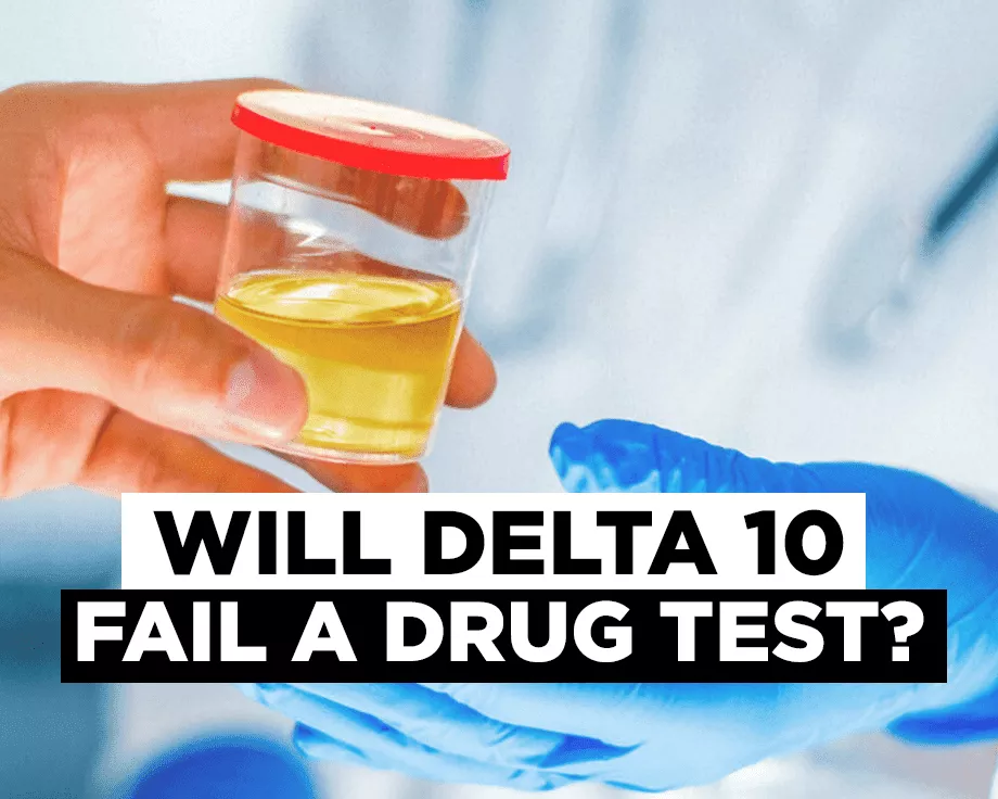 Will delta 10 fail a drug test?